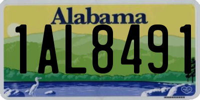AL license plate 1AL8491