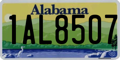 AL license plate 1AL8507