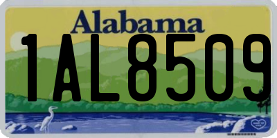 AL license plate 1AL8509