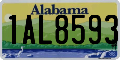 AL license plate 1AL8593
