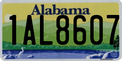 AL license plate 1AL8607