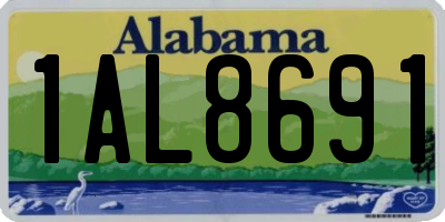 AL license plate 1AL8691