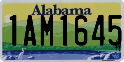 AL license plate 1AM1645