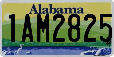 AL license plate 1AM2825