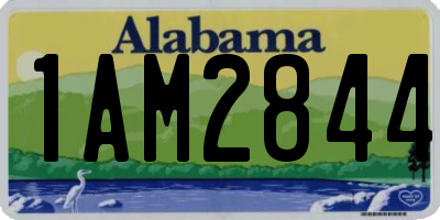 AL license plate 1AM2844
