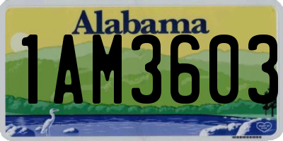 AL license plate 1AM3603