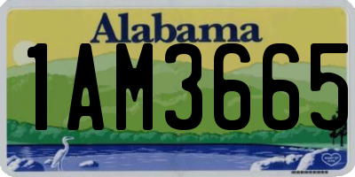 AL license plate 1AM3665