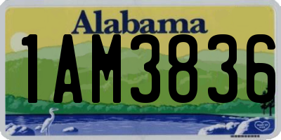 AL license plate 1AM3836