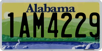 AL license plate 1AM4229