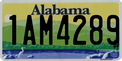 AL license plate 1AM4289