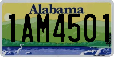 AL license plate 1AM4501