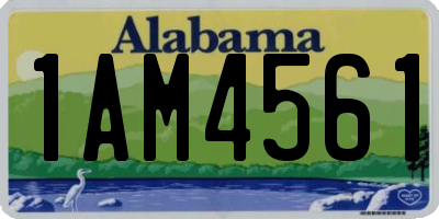 AL license plate 1AM4561