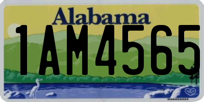 AL license plate 1AM4565