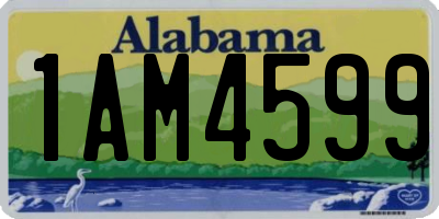 AL license plate 1AM4599