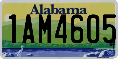 AL license plate 1AM4605