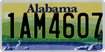 AL license plate 1AM4607