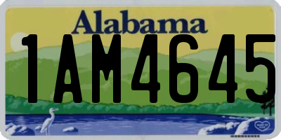 AL license plate 1AM4645