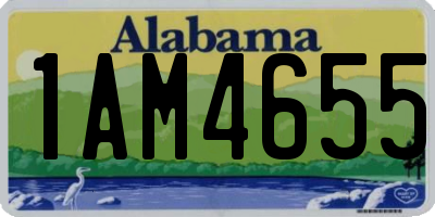 AL license plate 1AM4655