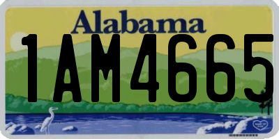 AL license plate 1AM4665