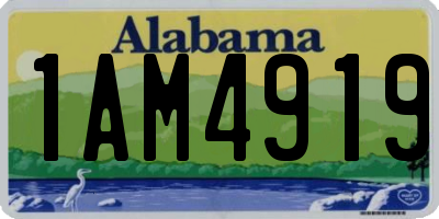 AL license plate 1AM4919