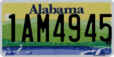 AL license plate 1AM4945