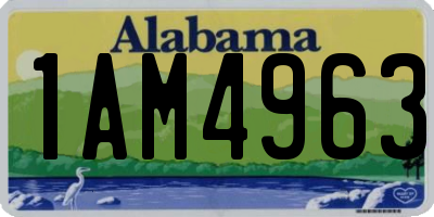 AL license plate 1AM4963