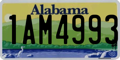 AL license plate 1AM4993