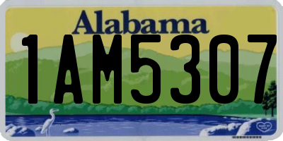 AL license plate 1AM5307
