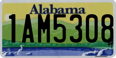 AL license plate 1AM5308
