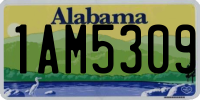 AL license plate 1AM5309
