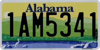 AL license plate 1AM5341