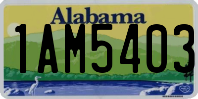AL license plate 1AM5403