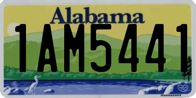 AL license plate 1AM5441