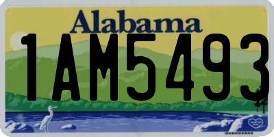 AL license plate 1AM5493