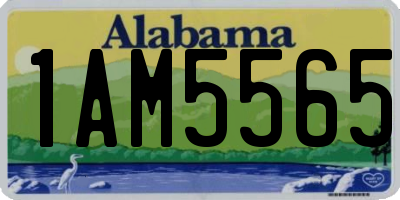 AL license plate 1AM5565