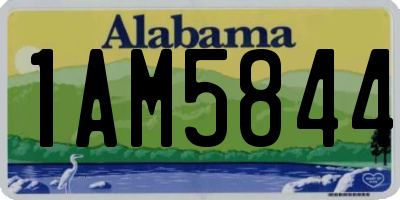 AL license plate 1AM5844