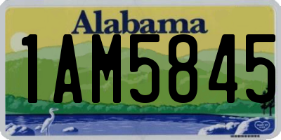AL license plate 1AM5845