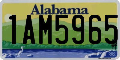 AL license plate 1AM5965