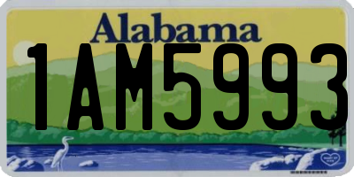 AL license plate 1AM5993