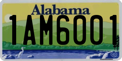 AL license plate 1AM6001