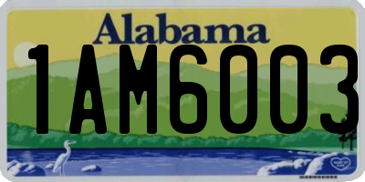AL license plate 1AM6003