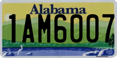 AL license plate 1AM6007