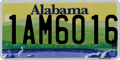 AL license plate 1AM6016