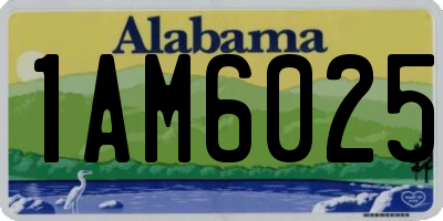 AL license plate 1AM6025