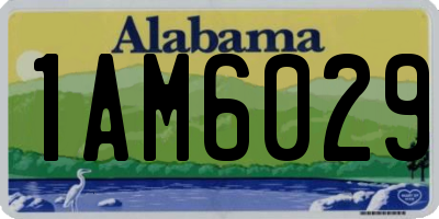 AL license plate 1AM6029