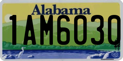 AL license plate 1AM6030