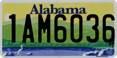 AL license plate 1AM6036