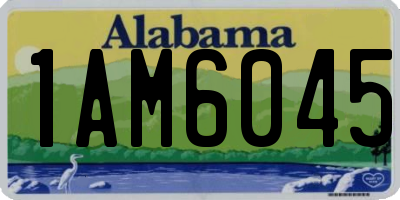 AL license plate 1AM6045