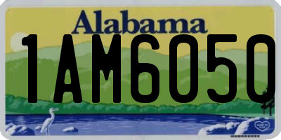 AL license plate 1AM6050