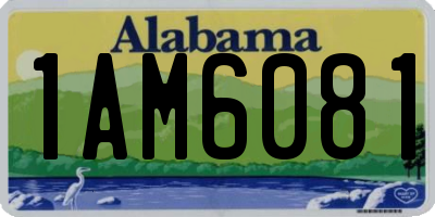 AL license plate 1AM6081